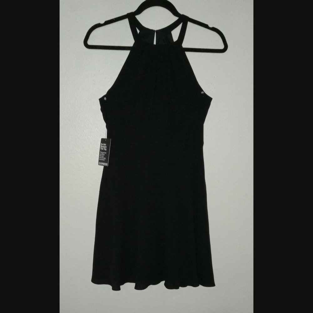 Express Pleated Back Dress